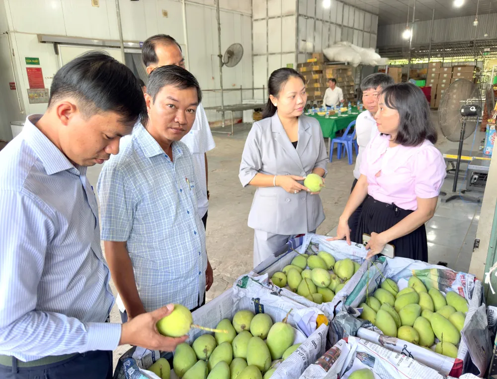 p Bình Đông 2.jpg