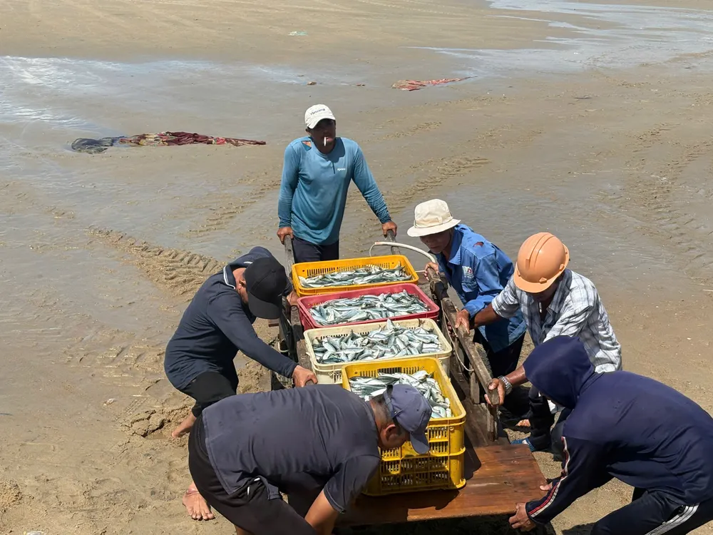 đưa cá lên bờ.jpg
