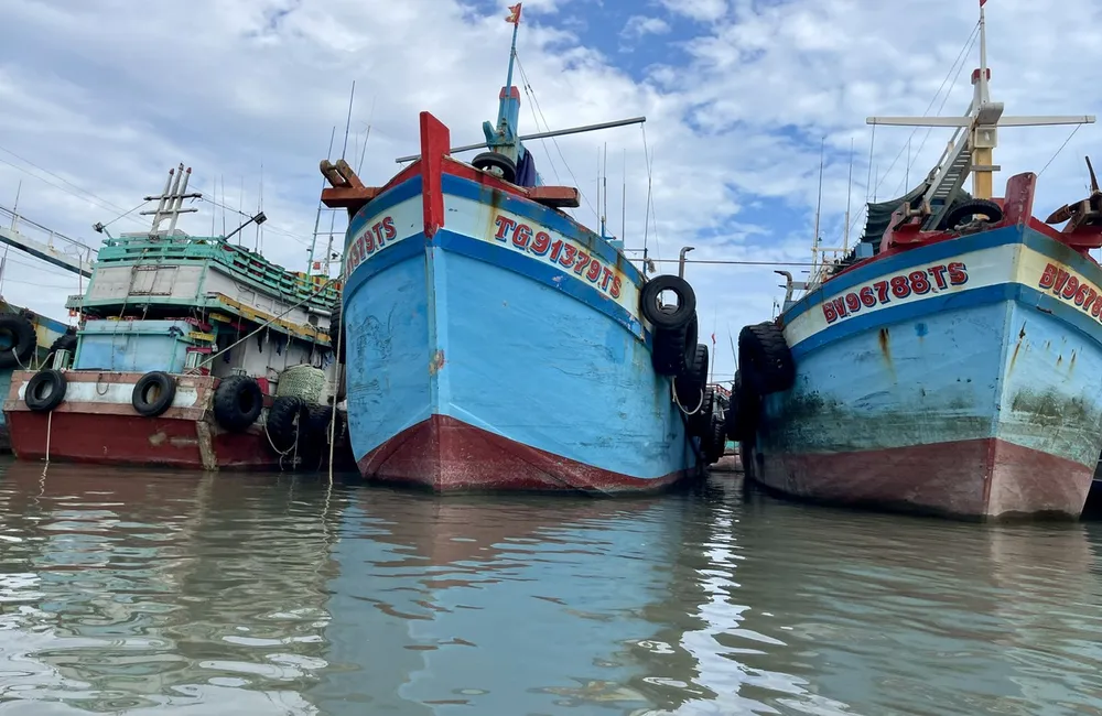 tau ca vung tau 2.jpg