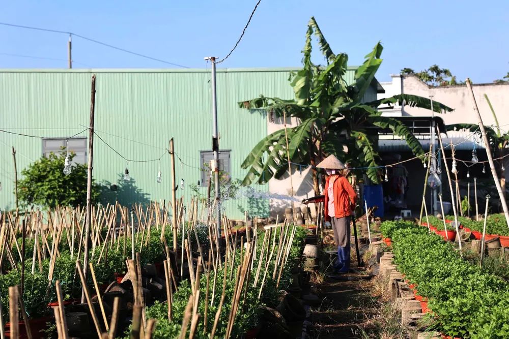 phước trung 1.jpg