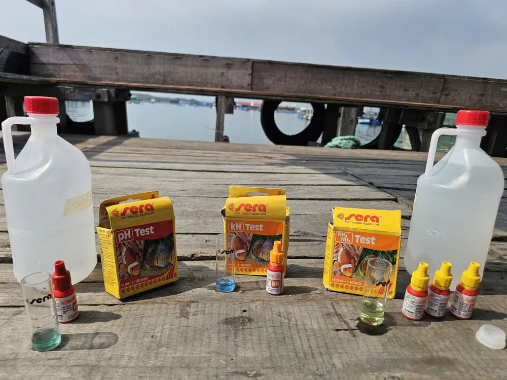 Cơ quan chức năng lấy mẫu nước, mẫu cá để phân tích