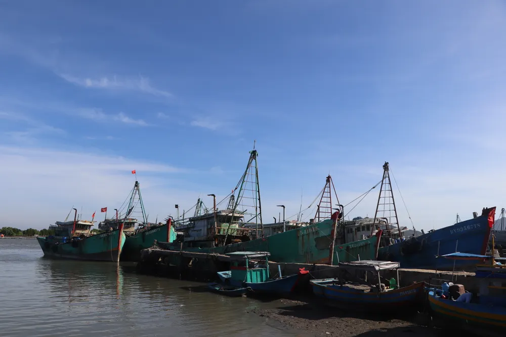 Tàu cá không đủ điều kiện được cơ quan chức năng xã Long Hải quản lý chặt, không cho xuất bến.