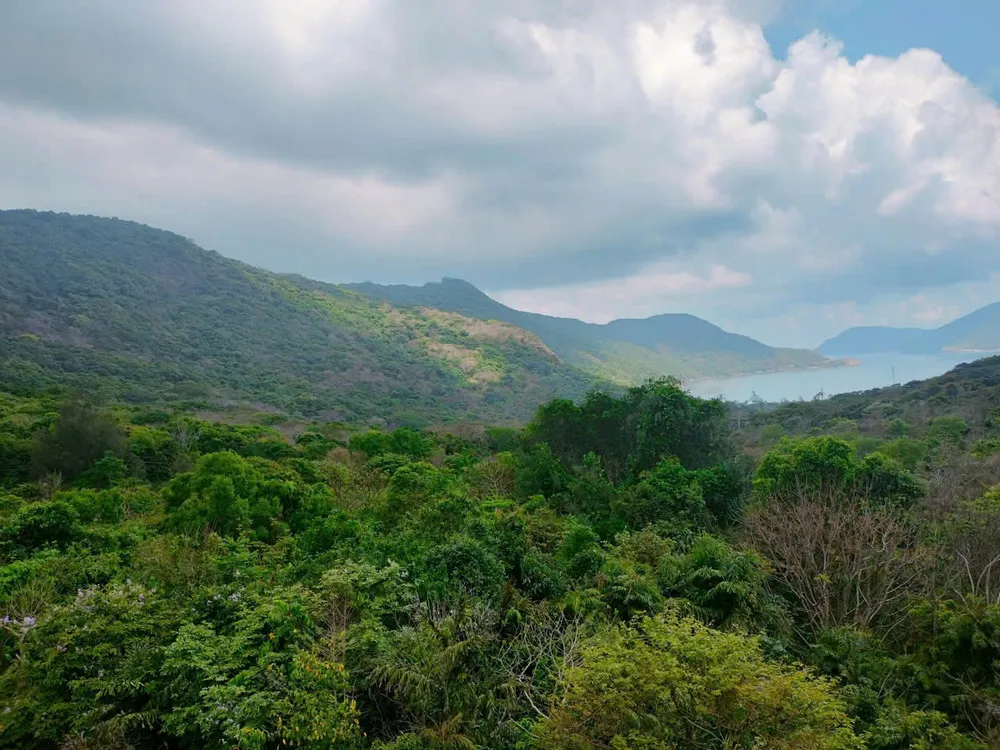 Vườn quốc gia Côn Đảo chủ động phòng chống cháy rừng