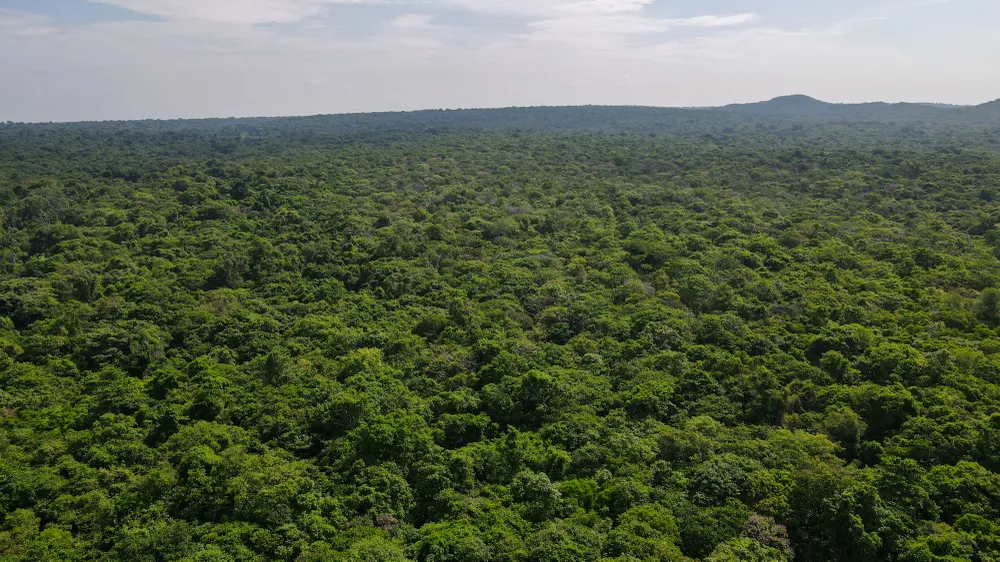 DJI_0884.JPG