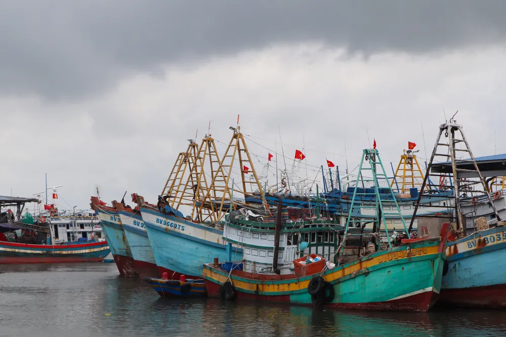 lấy d.JPG