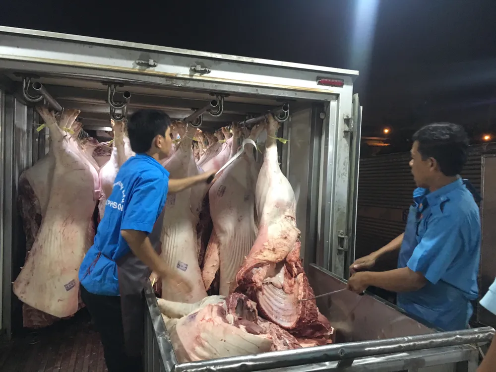 Phần lớn heo đeo vòng nhưng không kích hoạt truy xuất nguồn gốc ảnh 1