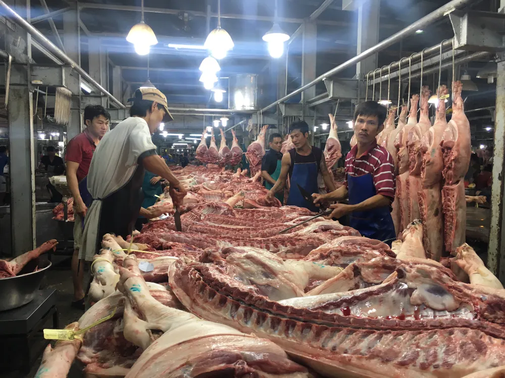 Phần lớn heo đeo vòng nhưng không kích hoạt truy xuất nguồn gốc ảnh 2