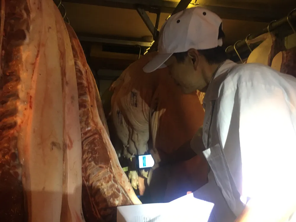 Chợ “vỡ trận”, heo không đeo vòng vẫn vào ảnh 4