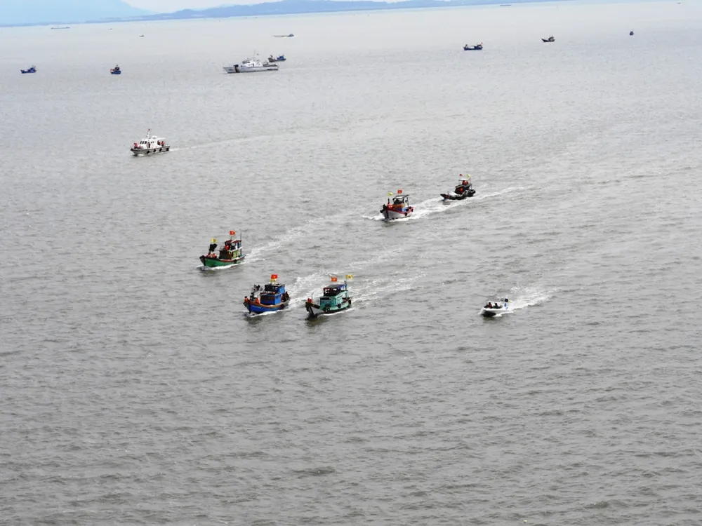 TPHCM diễn tập phòng chống ứng phó với bão mạnh ảnh 1