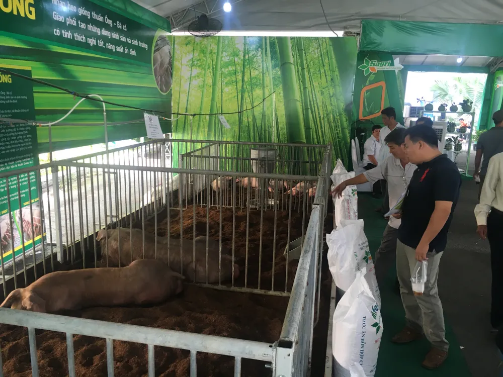 Nghệ sĩ Hoài Linh đoạt giải nhất Hội thi Hoa lan - Bonsai ảnh 2