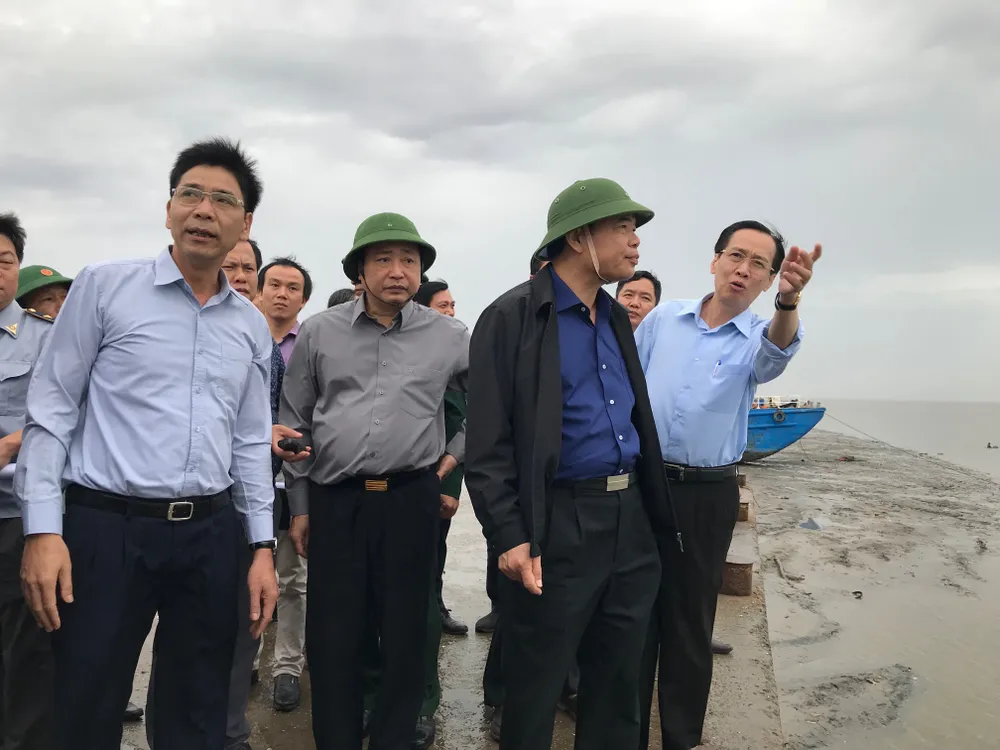 TPHCM khẩn trương phòng chống cơn bão số 9 ảnh 4