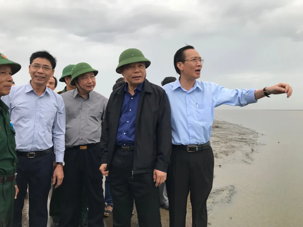 TPHCM khẩn trương phòng chống cơn bão số 9 ảnh 1