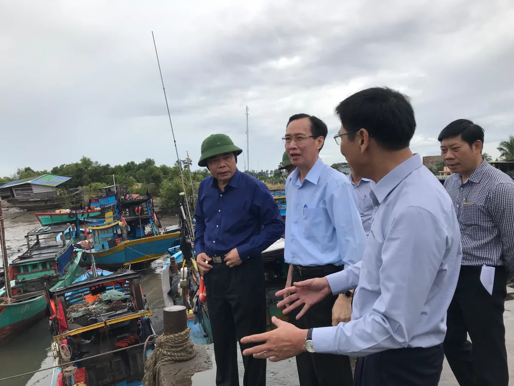 TPHCM khẩn trương phòng chống cơn bão số 9 ảnh 9