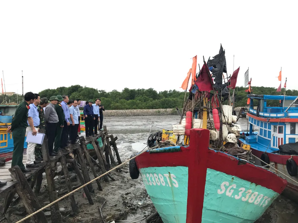 TPHCM khẩn trương phòng chống cơn bão số 9 ảnh 11