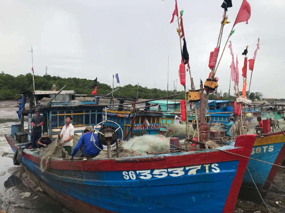 TPHCM khẩn trương phòng chống cơn bão số 9 ảnh 16