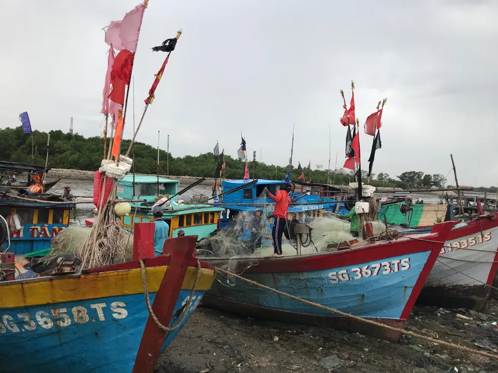 TPHCM khẩn trương phòng chống cơn bão số 9 ảnh 15