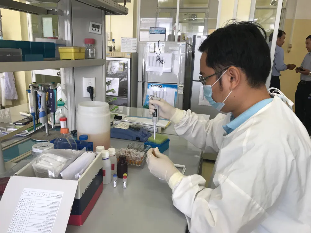 TPHCM tăng cường giám sát ngăn chặn dịch tả heo châu Phi ảnh 1