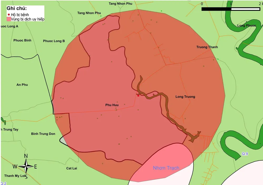 TPHCM phát hiện dịch tả heo châu Phi tại quận 9 ảnh 4