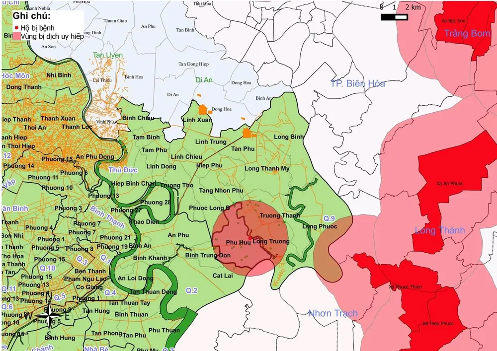 TPHCM phát hiện dịch tả heo châu Phi tại quận 9 ảnh 2