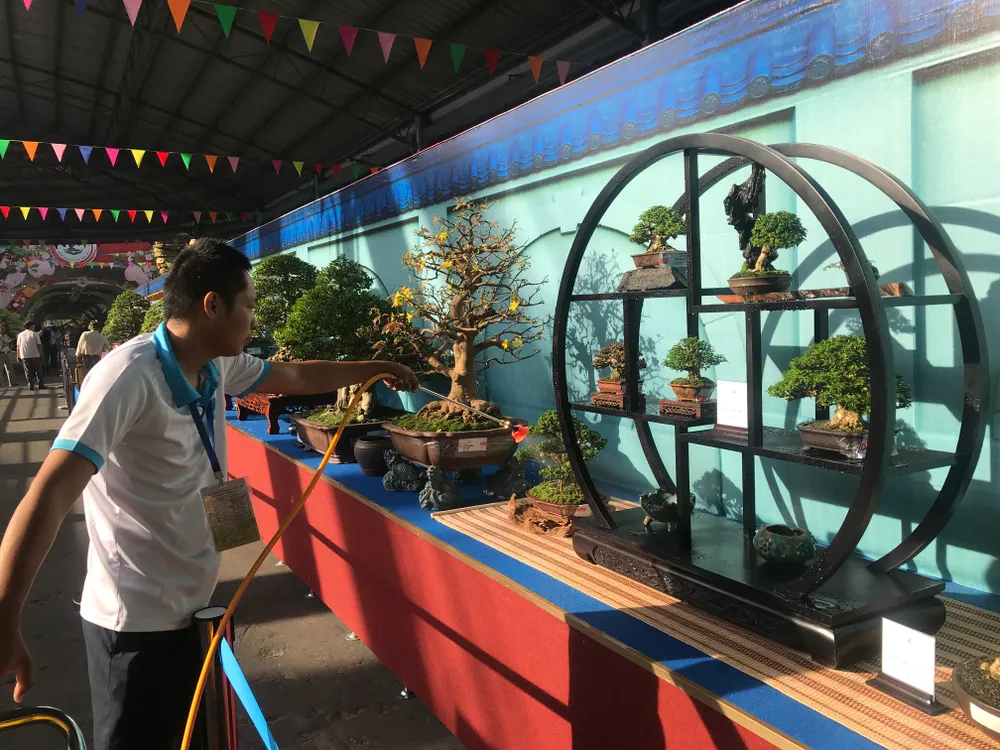Khai mạc Lễ hội Bonsai – Suiseki Châu Á - Thái Bình Dương tại Khu du lịch Suối Tiên ảnh 2