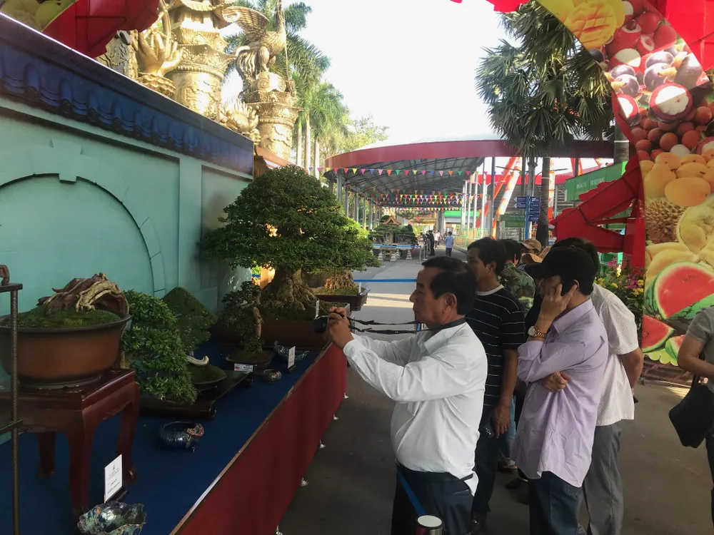 Khai mạc Lễ hội Bonsai – Suiseki Châu Á - Thái Bình Dương tại Khu du lịch Suối Tiên ảnh 1