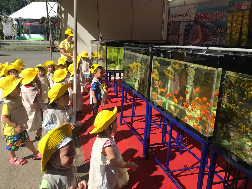 Khai mạc tuần lễ sinh vật cảnh TPHCM ảnh 1