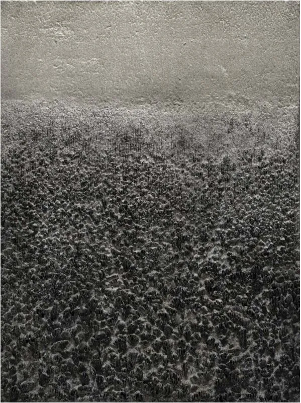 12 nghệ sĩ  Việt - Hàn cùng tham gia triển lãm tại mỹ thuật đương đại ảnh 2