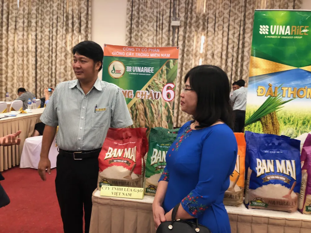 Xuất khẩu gạo vào EU chỉ bằng 1/6 so với Thái Lan ảnh 1