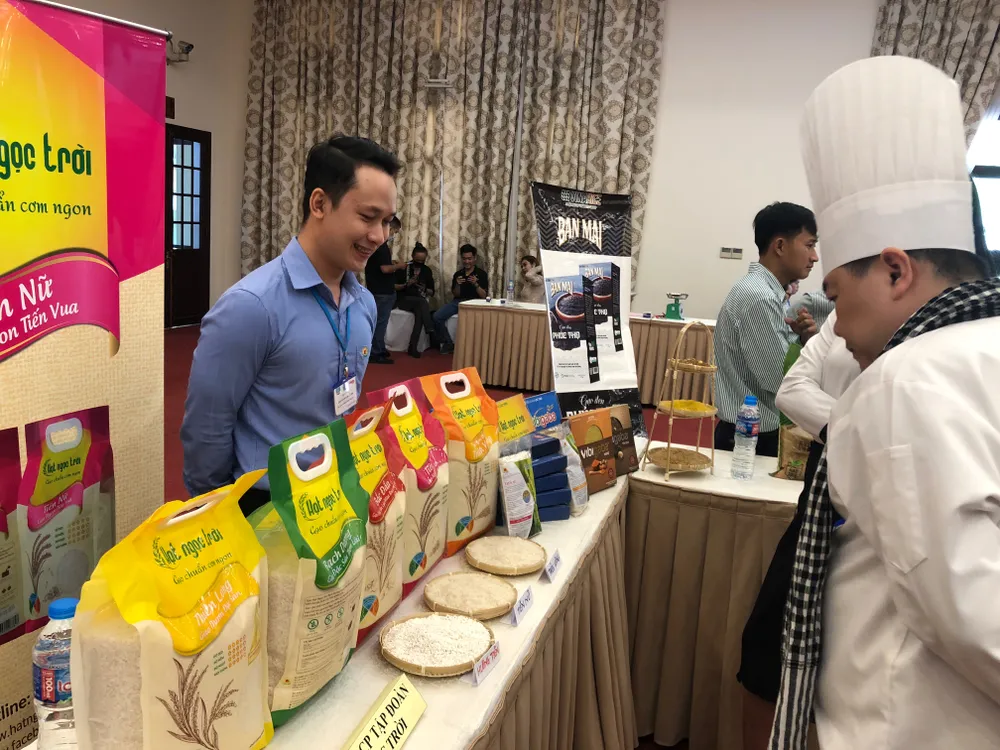 Xuất khẩu gạo vào EU chỉ bằng 1/6 so với Thái Lan ảnh 2