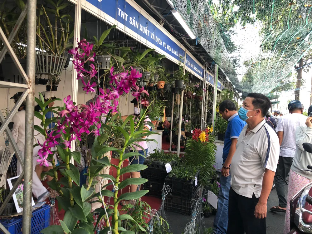 Khai mạc Tuần lễ sinh vật cảnh TPHCM ảnh 2