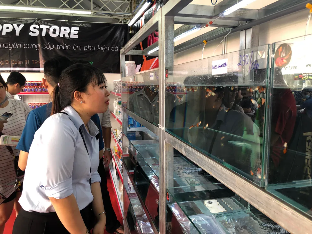 Khai mạc Tuần lễ sinh vật cảnh TPHCM ảnh 1