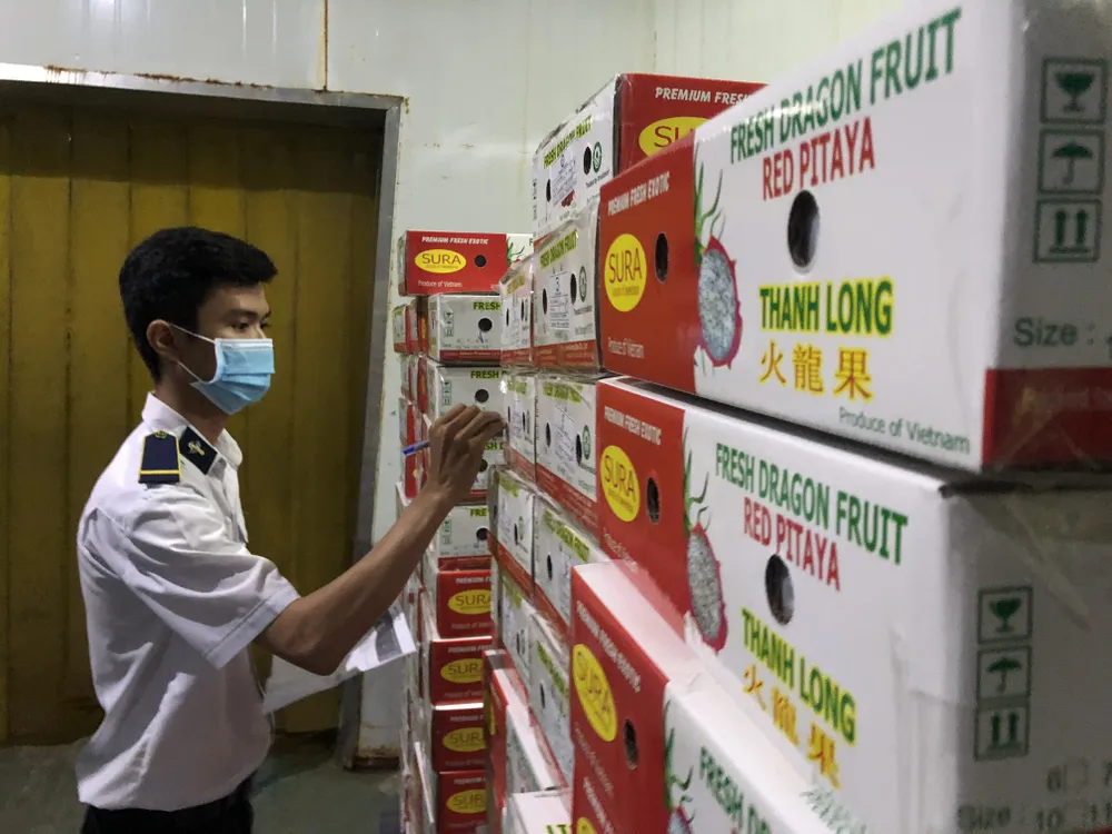 Nông sản Việt Nam xuất khẩu tăng mạnh nhờ tiếp cận thị trường 2,2 tỷ người ảnh 2