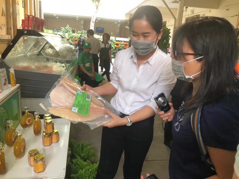 Kim ngạch xuất khẩu cá cảnh của TPHCM tăng hơn 27% ảnh 1