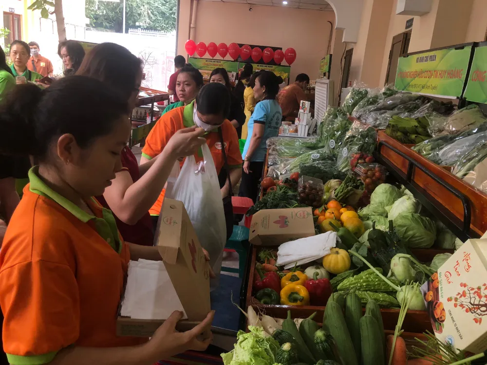 Kim ngạch xuất khẩu cá cảnh của TPHCM tăng hơn 27% ảnh 2