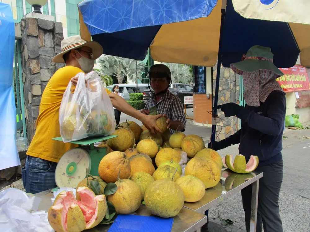 Bưởi Đồng Nai được người dân TPHCM “giải cứu” ảnh 2