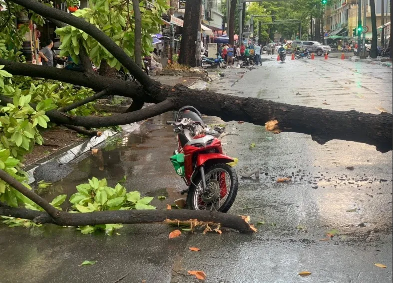 Mưa dông có xu hướng gia tăng ở Nam bộ trong những ngày tới ảnh 2