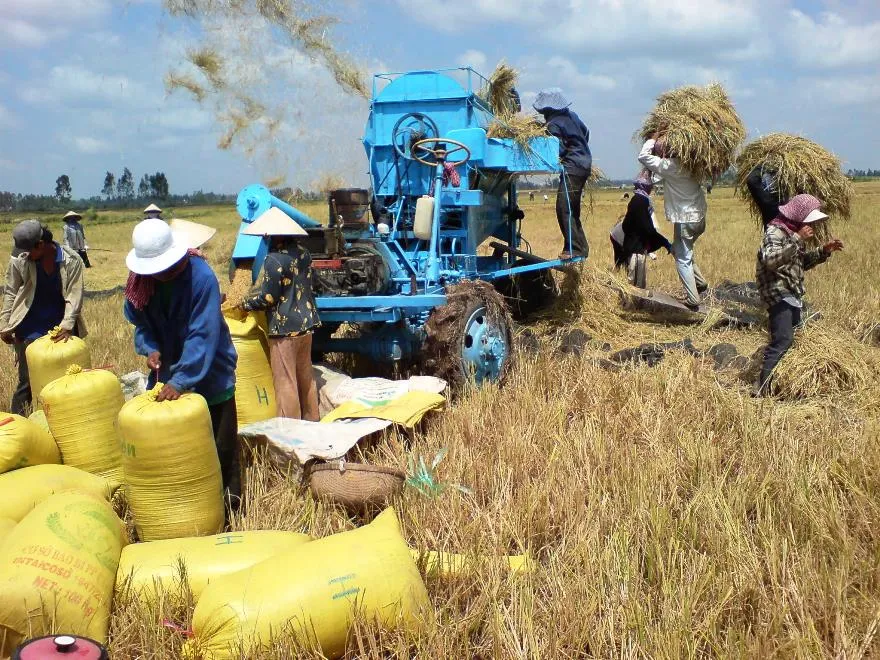 Agribank “sát cánh chung vai” cùng doanh nghiệp, doanh nhân khôi phục, phát triển nền kinh tế đất nước ảnh 2