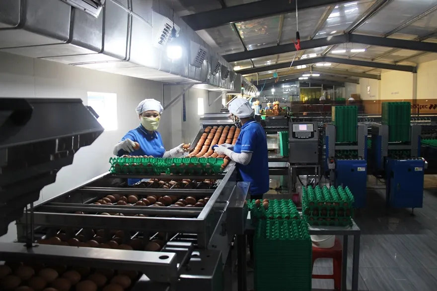 Agribank “sát cánh chung vai” cùng doanh nghiệp, doanh nhân khôi phục, phát triển nền kinh tế đất nước ảnh 1