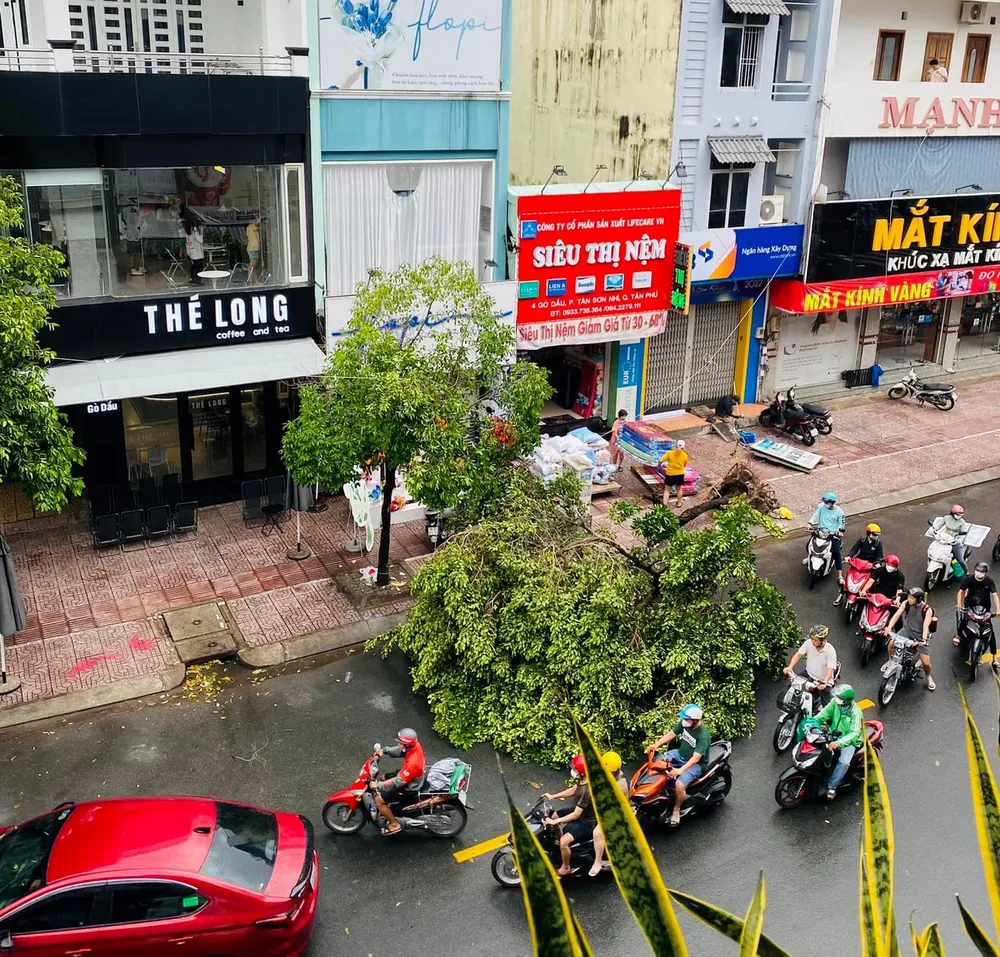 TPHCM mưa lớn, gây ngập nặng, xuất hiện mưa đá ảnh 2