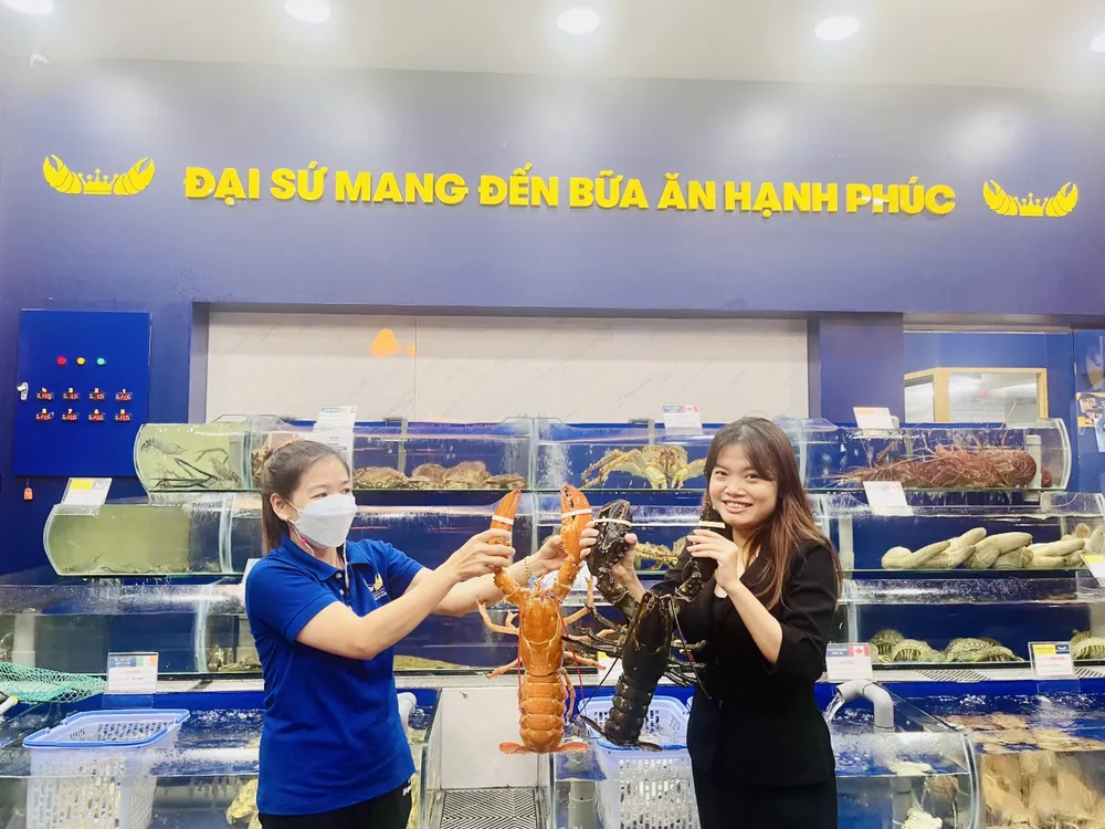 Tôm hùm Canada màu vàng cam cực hiếm xuất hiện tại Việt Nam ảnh 1