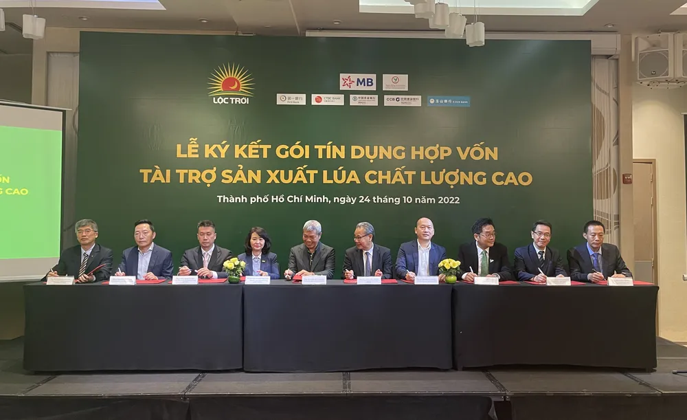 Hơn 2.400 tỷ đồng liên kết nông dân sản xuất gạo xuất khẩu ảnh 2