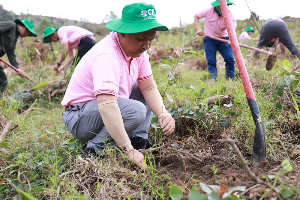 CP Việt Nam thực hiện Hành trình vì một Việt Nam xanh tại tỉnh Thừa Thiên - Huế ảnh 2