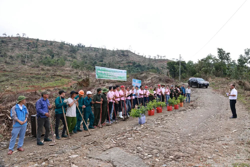 CP Việt Nam thực hiện Hành trình vì một Việt Nam xanh tại tỉnh Thừa Thiên - Huế ảnh 1