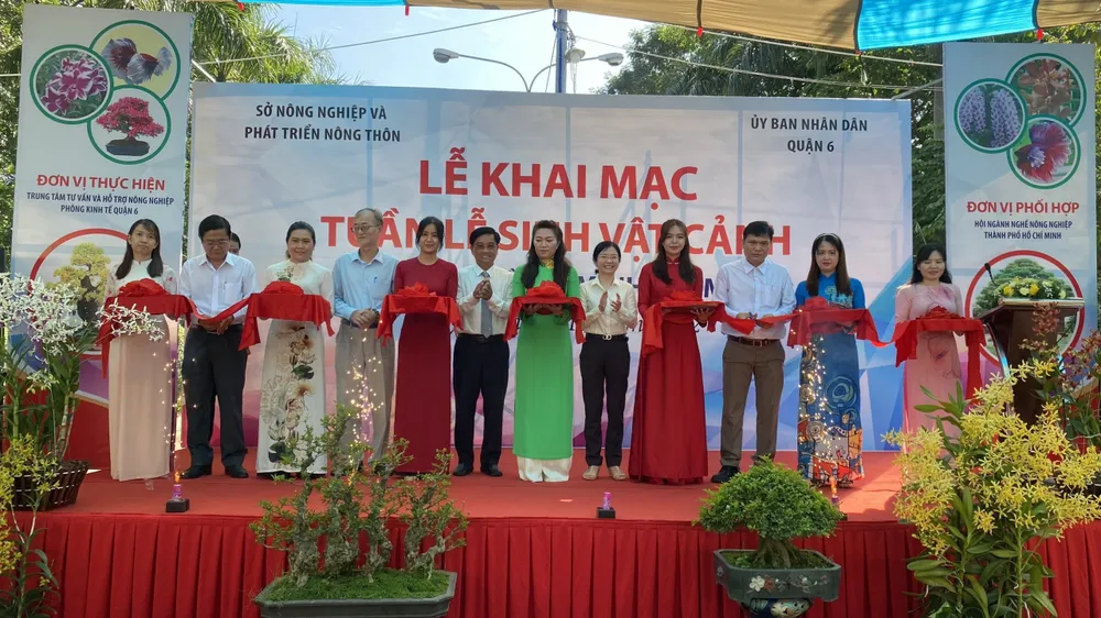 Khai mạc Tuần lễ Sinh vật cảnh TPHCM ảnh 1