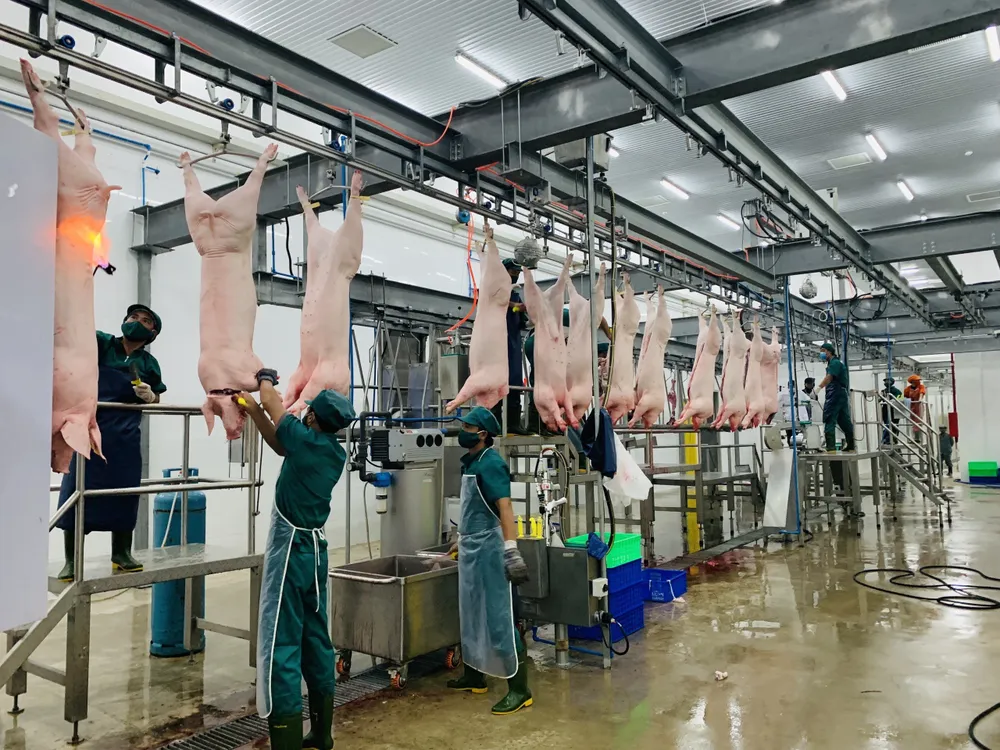 Sagrifood mang thực phẩm sạch đến mọi gia đình ảnh 1