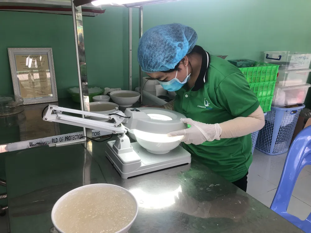 Tổ yến xuất khẩu phải đáp ứng những điều kiện nào? ảnh 1