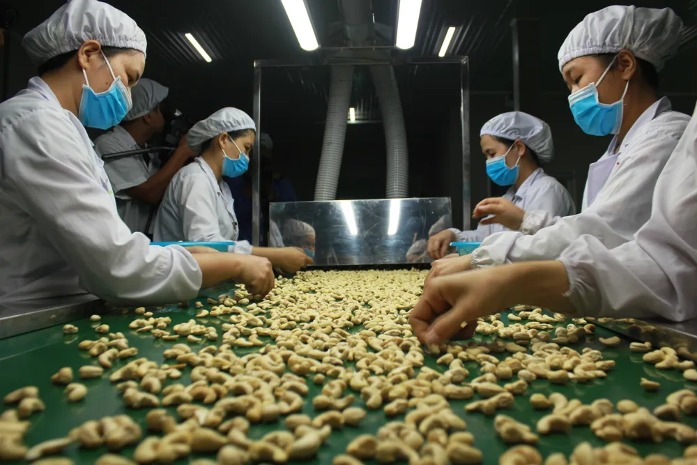 Năm 2022, Việt Nam chỉ xuất khẩu nhân điều đạt giá trị 3,07 tỷ USD, chưa đạt được mục tiêu kim ngạch xuất khẩu 3,2 tỷ USD