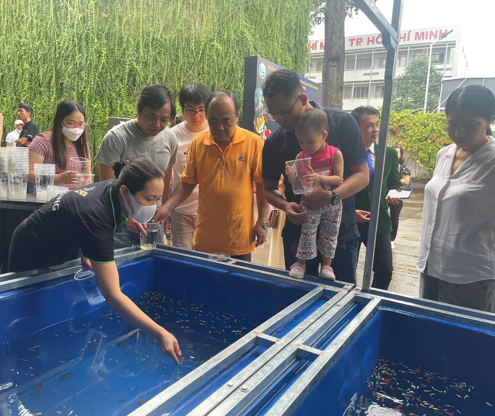 Nhiều trẻ em, người lớn thích thú với cá cảnh rực rỡ màu sắc