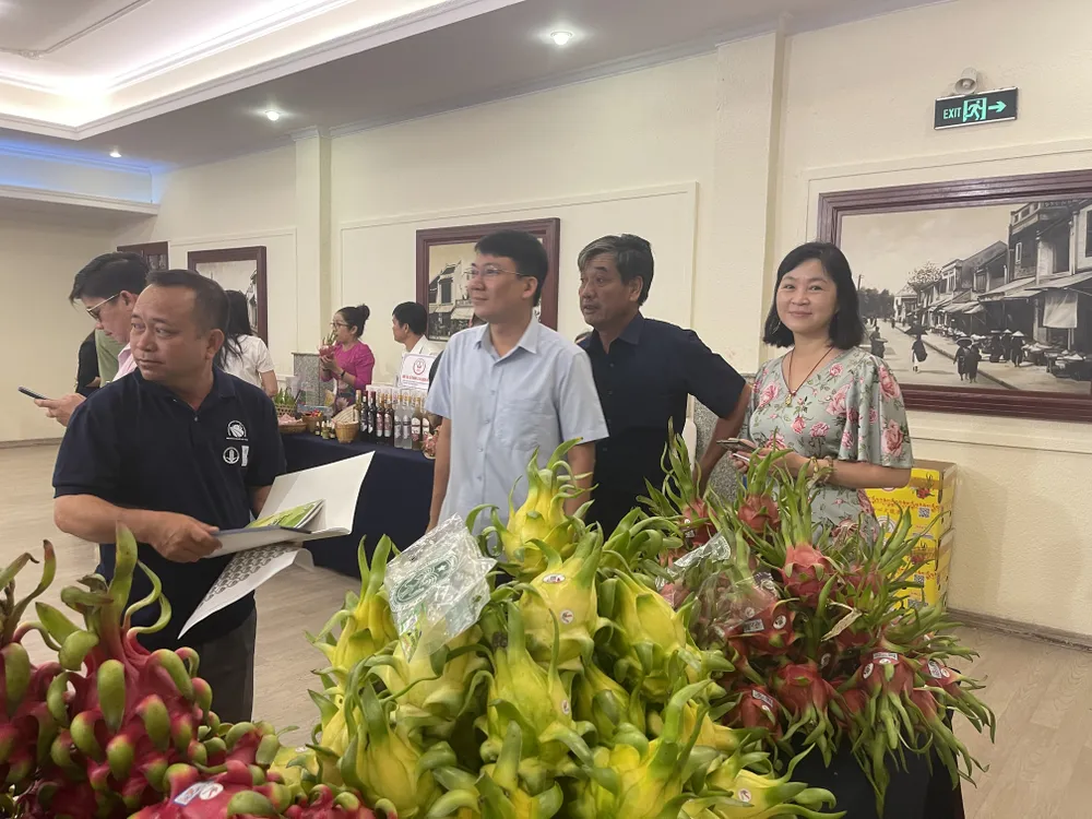 Nhiều nông dân sản xuất thanh long giảm phát thải Nhiều nông dân sản xuất thanh long giảm phát thải