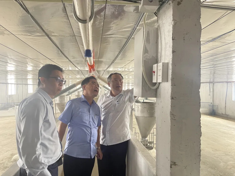 Ông Trần Ngọc Hổ, Chủ tịch HĐQT Tổng công ty Nông nghiệp Sài Gòn TNHH MTV tham quan trang trại